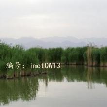 ״