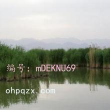 Ȼ